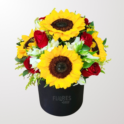 Girassol e Rosas - Flowers Box Premium