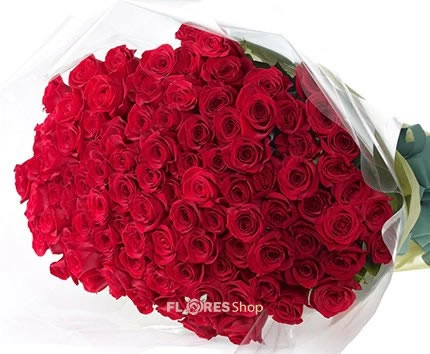 Ualll...100 Rosas Nacionais Vermelhas