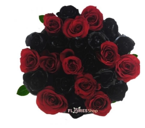 Rosas Negras e Vermelhas