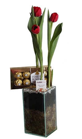 Tulipas e Ferrero